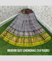 ikkat_lehengas-20241029094533634820.jpg