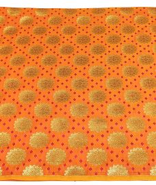 Kancheepuram yellowish gold borderless saree with contrast blouse and pallu