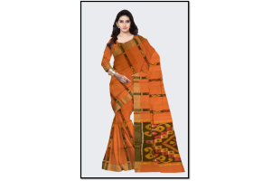 Ikkat Sico Sarees on the fashion industry 